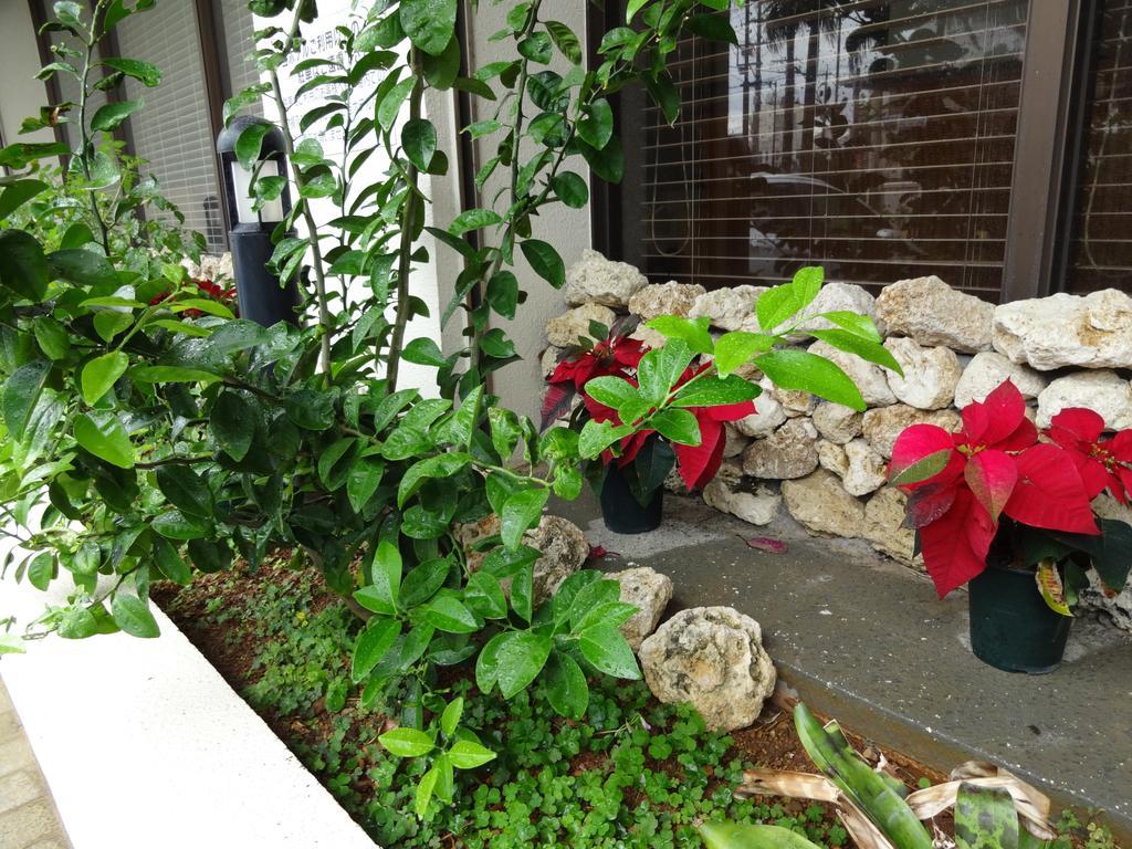 Hotel Granview Ishigaki Ishigaki  Екстер'єр фото